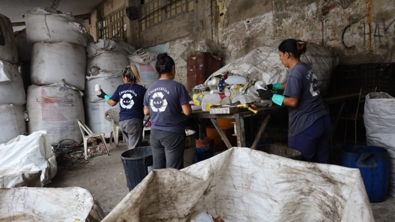 WhatsApp Image 2025-12-09 at 19.29.14