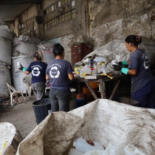 Provincia Microcréditos lanza una línea para la economía social