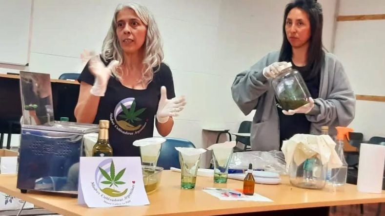 WhatsApp Image 2025-12-24 at 15.01.05