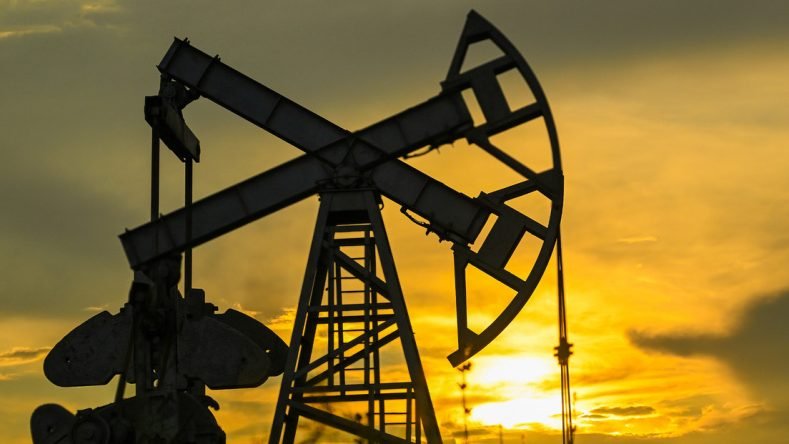 WhatsApp Image 2026-03-13 at 15.45.09