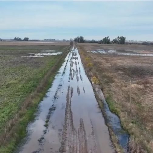El rompecabezas de los caminos rurales: demanda a municipios y el vacío que deja la Nación