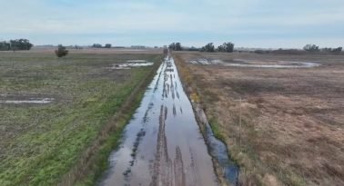 El rompecabezas de los caminos rurales: demanda a municipios y el vacío que deja la Nación