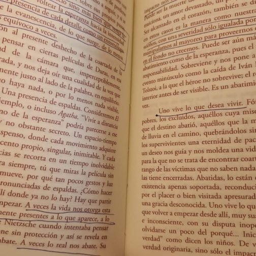 Diario de migrañas IV (final)