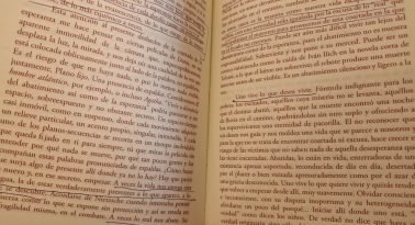 Diario de migrañas IV (final)