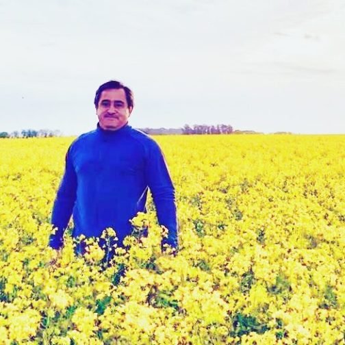 Qué oleaginosas ganan hectáreas en el campo argentino
