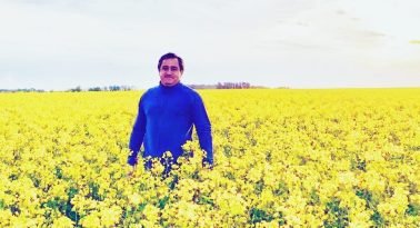 Qué oleaginosas ganan hectáreas en el campo argentino