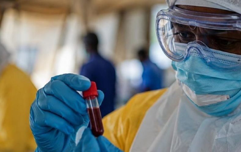Ébola, el virus que enciende una vez más las alarmas de la OMS