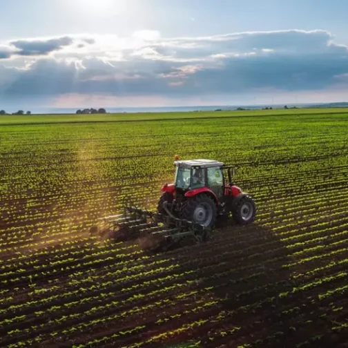 ¿A qué nos referimos cuando hablamos de “el campo?