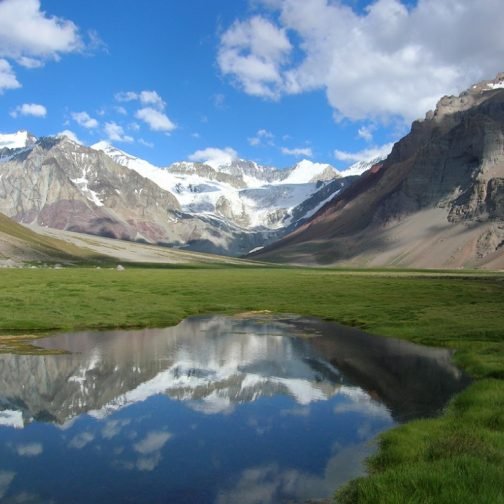 Las tierras son ajenas: trece millones de hectáreas argentinas están en manos extranjeras