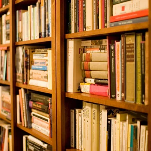 Bibliotecas robadas