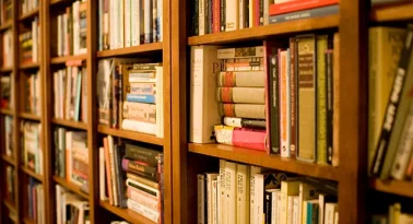 Bibliotecas robadas
