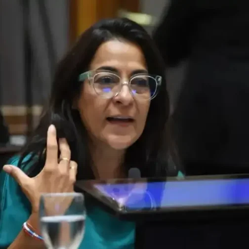 Semana agitada en el Senado: nuevos aliados para la “escribanía” y el bloque de Mayans sin sillas