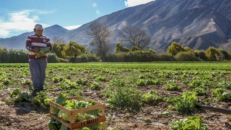 cauqueva-cooperativa_jujuy-01b