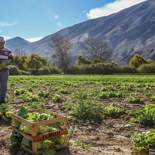 Innovar con ADN propio: Cauqueva cumple 30 años de valor agregado y soberanía alimentaria