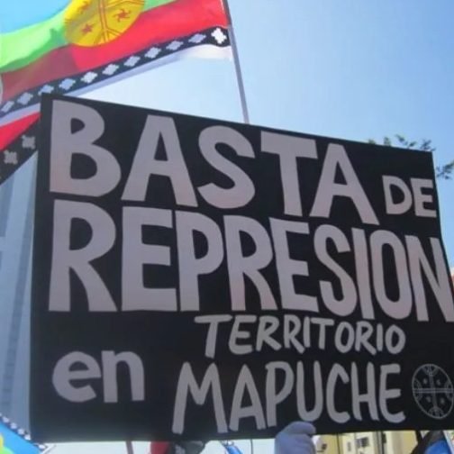 Comunidades mapuches ante la ONU: “500 mil hectáreas ocupadas por Inglaterra en nuestro territorio”