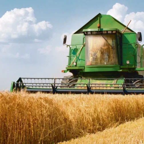Los números del boom triguero y las dudas por el clima