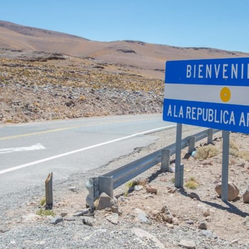 Recursos naturales y un Estado en retirada: cuáles son los riesgos de la política exterior de Milei
