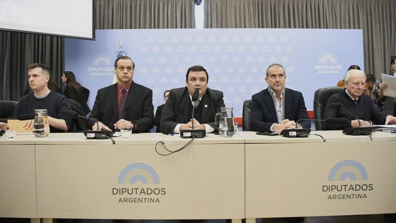 Luego del ajuste propuesto en el Presupuesto 2027, La Libertad Avanza logró dictamen de mayoría en Diputados para un proyecto alternativo a la emergencia en discapacidad. La iniciativa genera fuertes dudas en la oposición y en las organizaciones del sector, quienes denuncian vacíos normativos en torno al financiamiento y califican la medida de estrategia dilatoria.