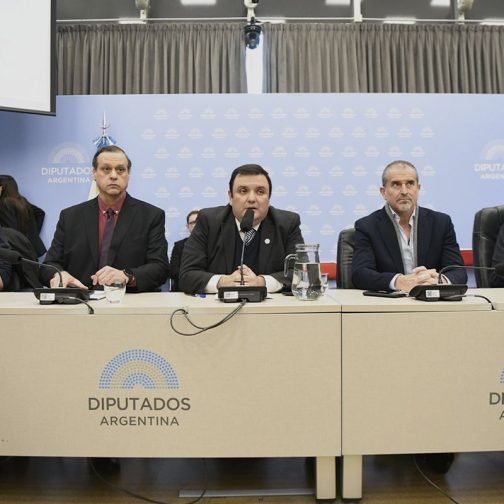 ¿Giro libertario en discapacidad o el lobo que se viste de oveja?