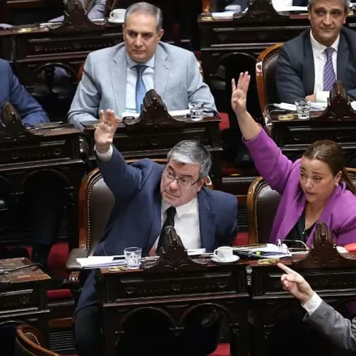 Fracasó la sesión para derogar el DNU 70/23 y prorrogar la emergencia en discapacidad