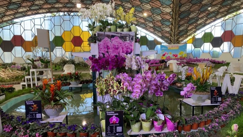 La imagen muestra una exposición de orquídeas y otras plantas ornamentales en el interior del Predio Floral durante la tradicional Fiesta Nacional de la Flor en Belén de Escobar, provincia de Buenos Aires.