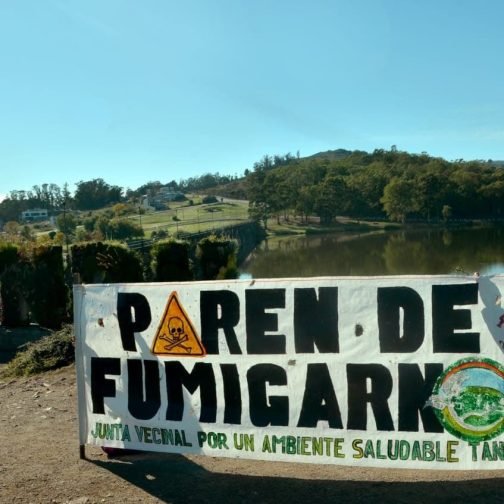 La batalla legal contra los agrotóxicos en la cuenca del Chapaleofú