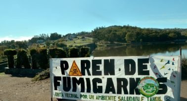 La batalla legal contra los agrotóxicos en la cuenca del Chapaleofú