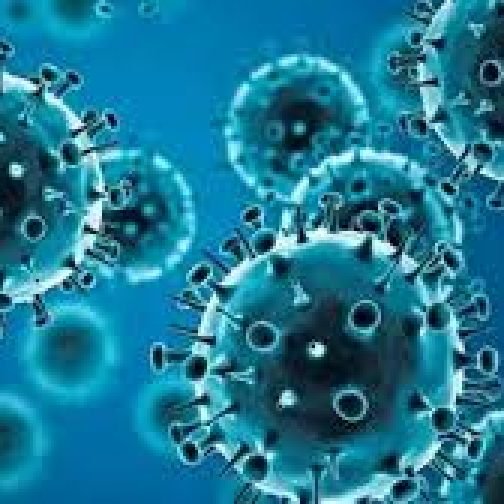 Qué se sabe de la nueva variante de la gripe que pone en alerta a Europa, Asia y EE.UU