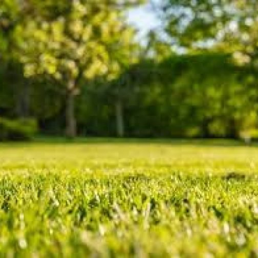 Contemplar lo desconocido 