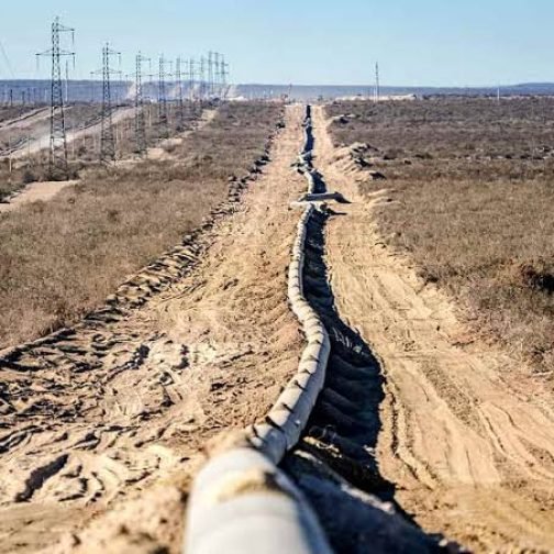 Los dólares de Vaca Muerta y por qué la abundancia necesita un blindaje