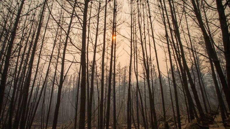 incendios-chubut-2026-8