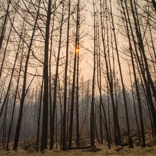 La lluvia ayuda pero no es solución