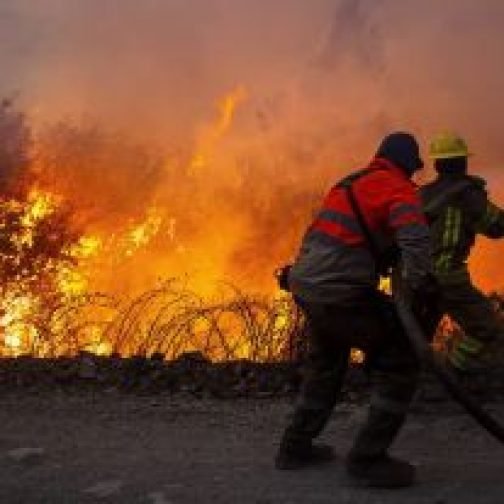 El fuego ya afectó 43 mil hectáreas y los brigadistas cosen sus equipos entre las llamas 