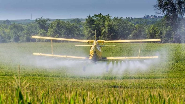 juicio_fumigaciones_en_pergamino_06-1024x683