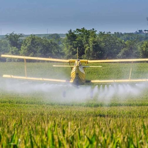 En el histórico juicio por fumigaciones, el tribunal inspeccionará los barrios afectados en Pergamino