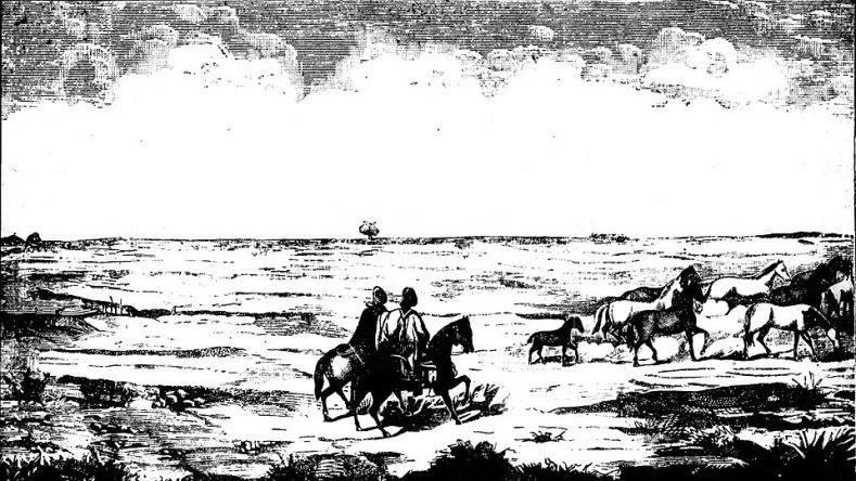 Canto XIII de la obra literaria argentina El Gaucho Martín Fierro, escrita por José Hernández y publicada originalmente en 1872.