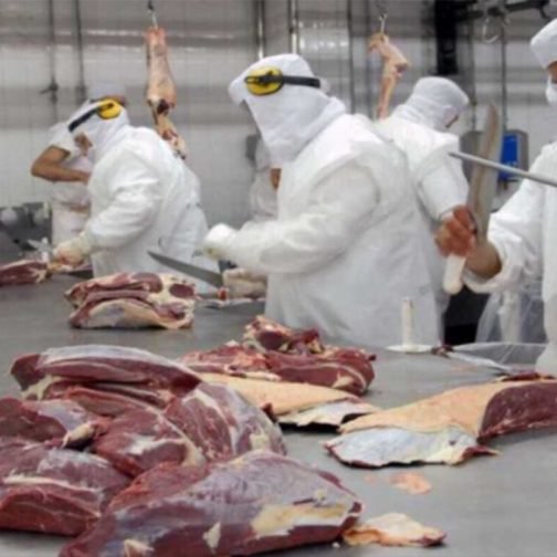 Empresas exportadoras de carne bajan la producción hasta que aclare