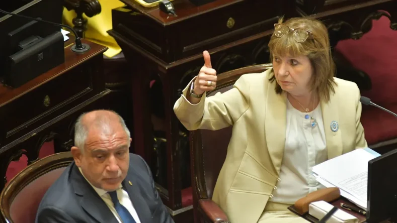 patricia-bullrich-el-senado