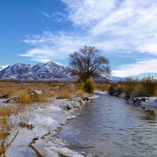 Restauran humedales en la alta montaña para proteger el agua de Mendoza