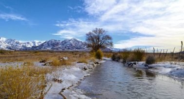 Restauran humedales en la alta montaña para proteger el agua de Mendoza