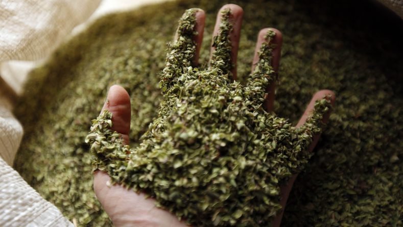 Esta imagen muestra orégano seco, una hierba aromática comúnmente utilizada en la cocina como condimento.