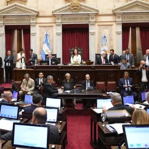 Senado: el gobierno no tuvo los votos para la ley de tierras, pero cerró filas con la casta judicial