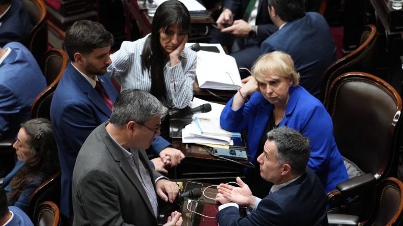 sesion diputados1